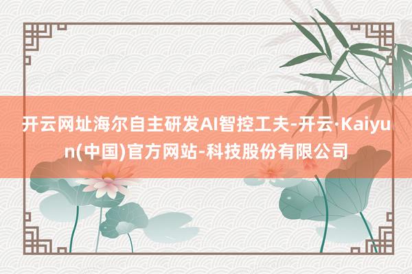 开云网址海尔自主研发AI智控工夫-开云·Kaiyun(中国)官方网站-科技股份有限公司